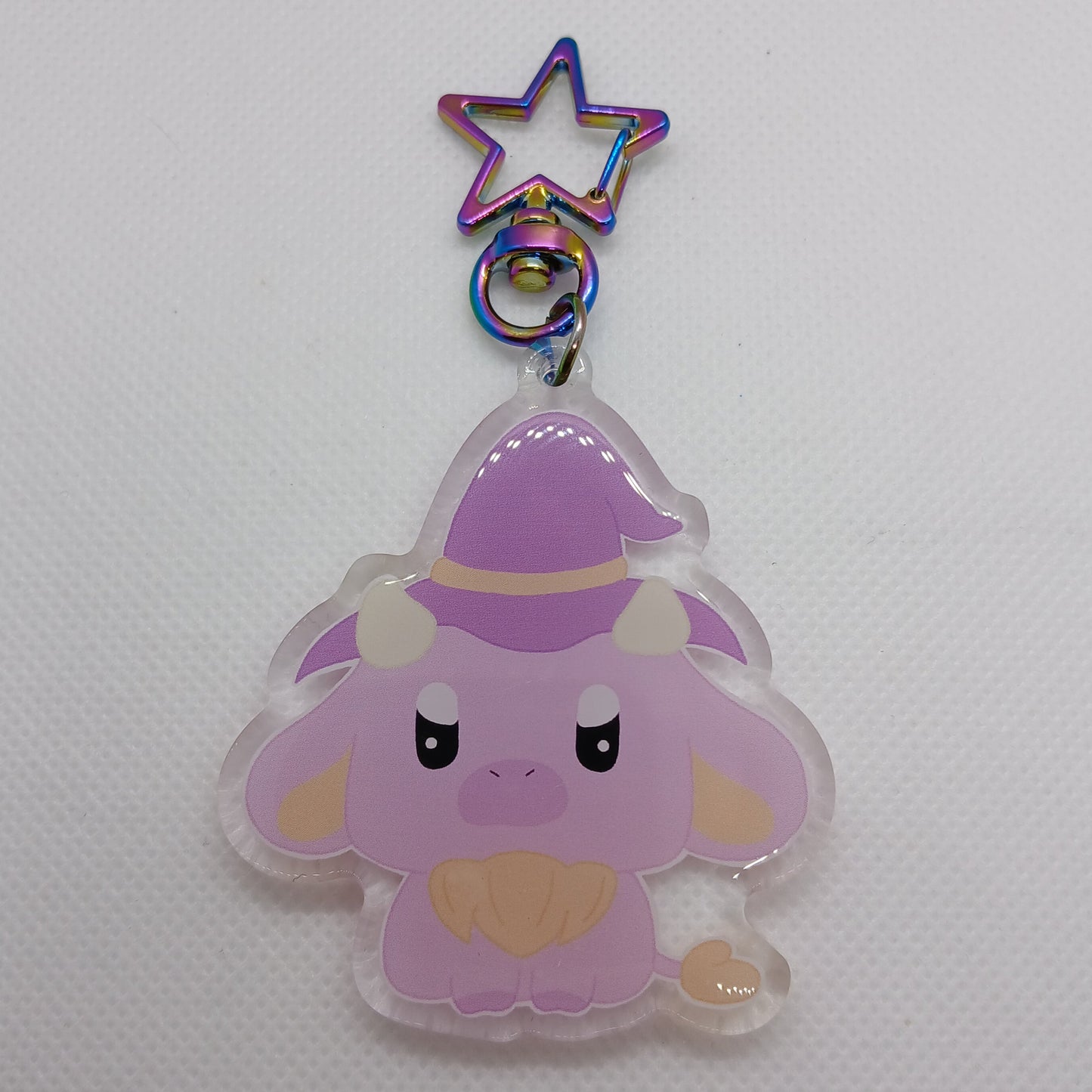 Lucky dip acrylic keyring bags