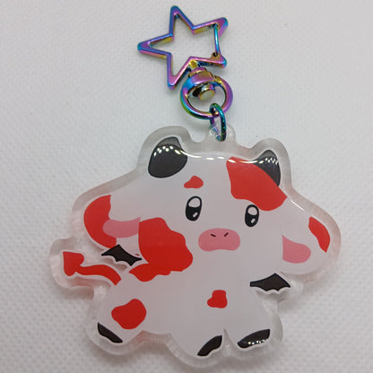 Lucky dip acrylic keyring bags