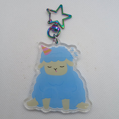 Lucky dip acrylic keyring bags