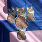 Swirly golden tabby cat 2" single sticker